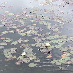 Meet your Posher, Annamaria